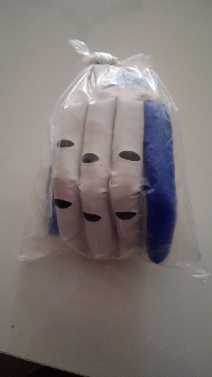 🏏 Pama Cricket Gloves